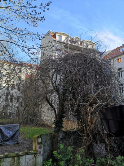 Blick vom Balkon in den blauen Himmel.