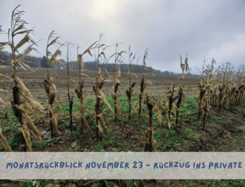 Monatsrückblick November 2023 – Rückzug ins Private