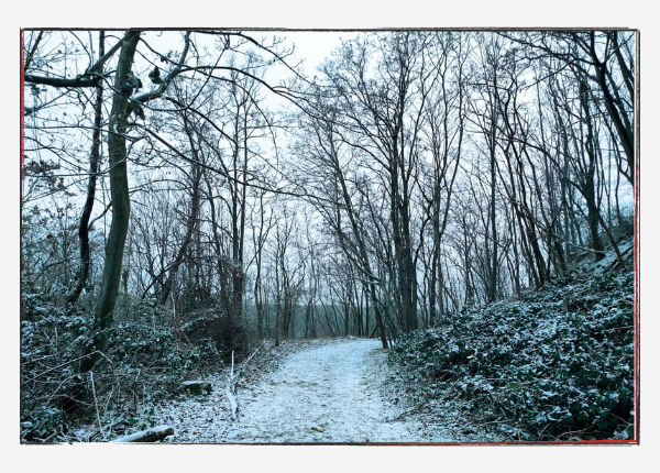 12 von 12 Januar 24: Ein wenig Schnee auf dem Weg zum Fockeberg Leipzig.