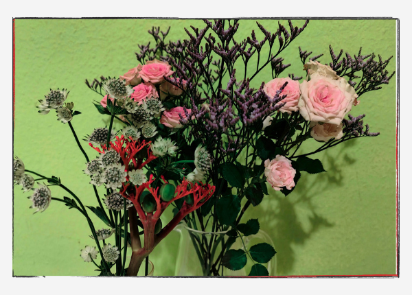 12 von 12 Januar 24: Blumenstillleben