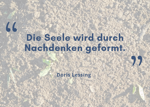 Selbstreflexion – Zitat: 