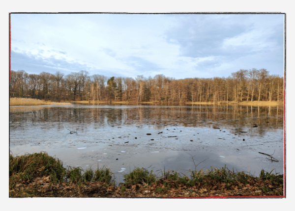 Monatsrückblick Januar 2024 - See im Schlosspark Machern