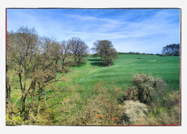 12 von 12 - April 2024: Landschaft in der Nähe von Ansbach. 