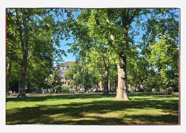12 von 12 - August 2024: Heinrich-Schütz-Platz in Leipzig
